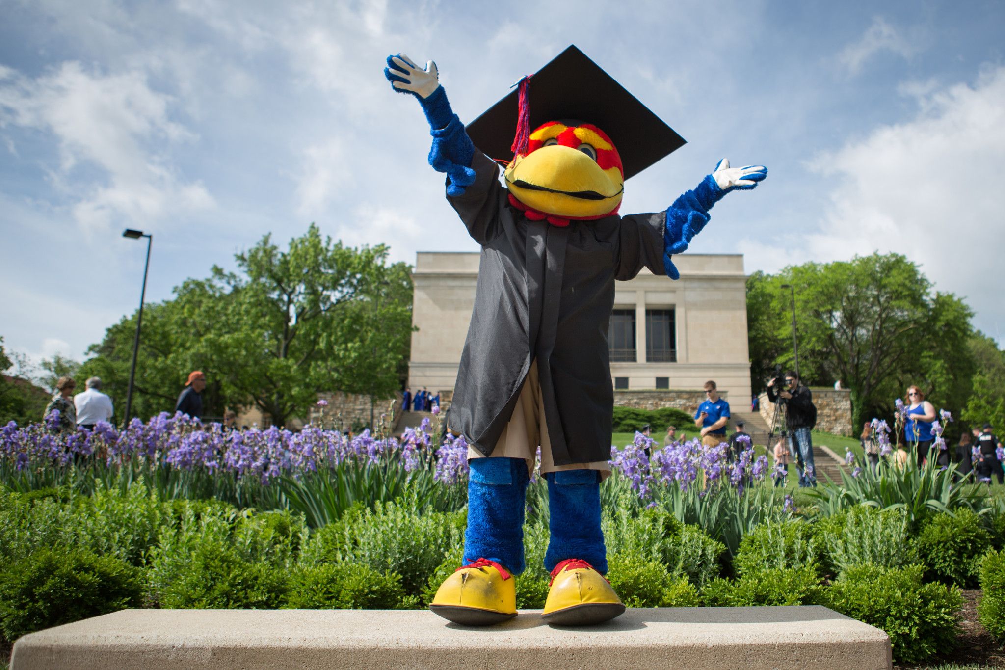 Big Jay is standing on a bench at the top of the hill in graduation attire with a cap and gown.